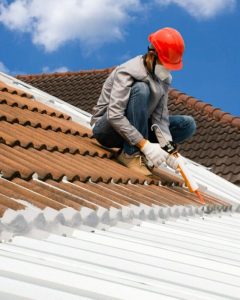 Roof Painters Adelaide